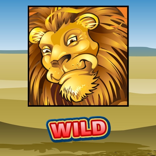 Mega Moolah wilds,bonuses and free spins